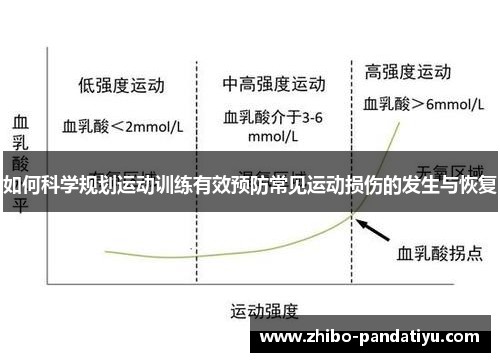 如何科学规划运动训练有效预防常见运动损伤的发生与恢复