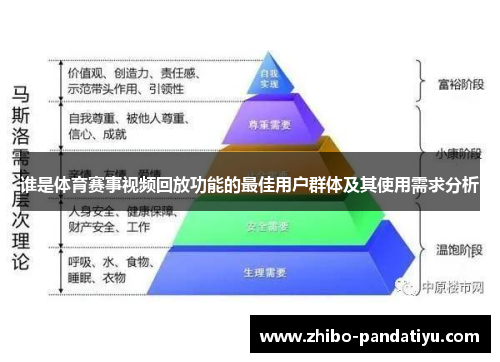 谁是体育赛事视频回放功能的最佳用户群体及其使用需求分析